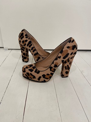steve madden jerry leopard