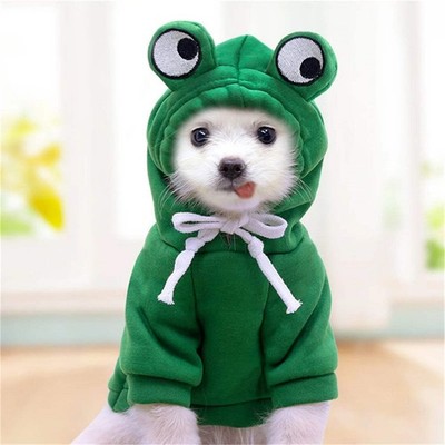 New Dog Hoodie Clothes Cute Design Sweater Coat Carrot Frog Shape Warm Fleece Ou