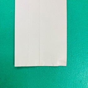 [Obi and flyer included] Dreamcast Magic: The Gathering Dreamcast SEGA SEGA