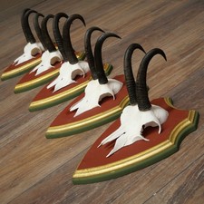 Antlers Camosci 5x Gamsen Bock Sl 20,7 CM Gemme Legno di Pino Scudo Trofeo