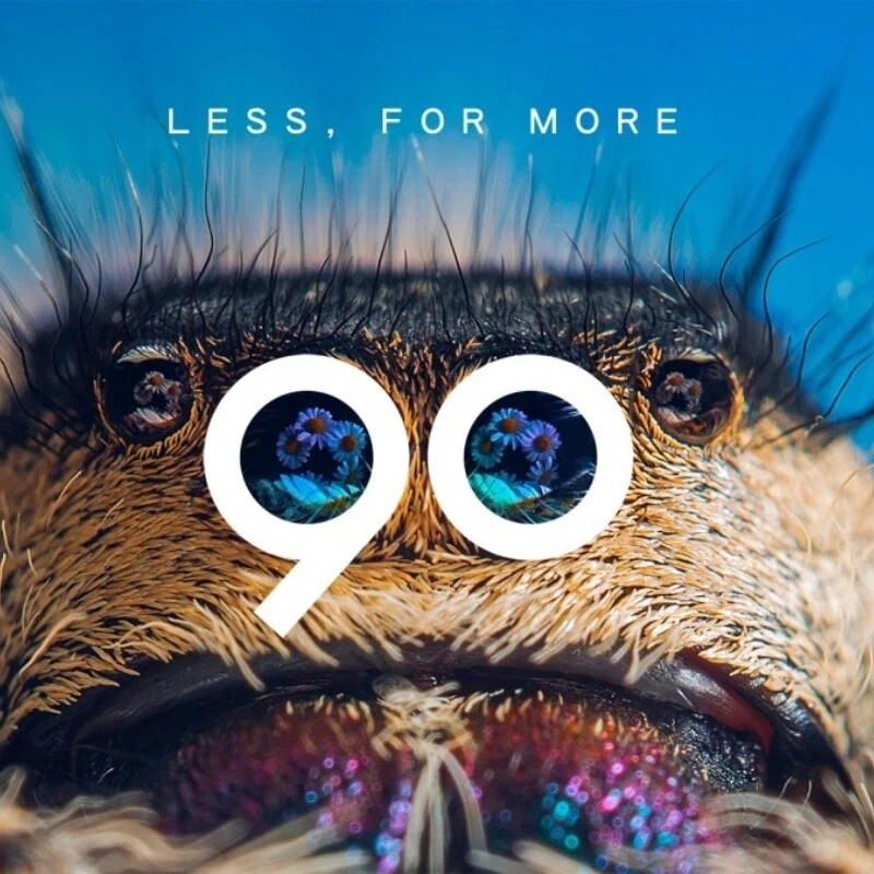 Laowa 90mm F2.8 2x Ultra Macro APO Full Frame Manual MF Lens for Nikon Z Camera - Image 4 of 4