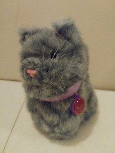 american girl gray cat