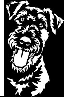 Airedale Terrier Aufkleber - Autoaufkleber -Sticker- Airedale Terrier Kopf #29