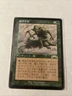 Survival of the Fittest｜Exodus MTG Magic the Gathering Green Japanese　lp