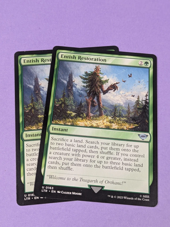 MTG Magic: The Lord of the Rings: Entish Restoration #0163 Uncommon - NM - Image 3 of 4