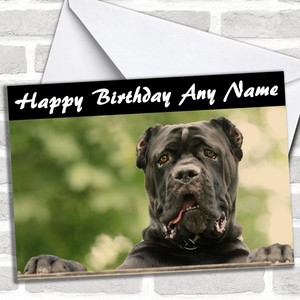 Details About Cane Corso Dog Personalized Birthday Card