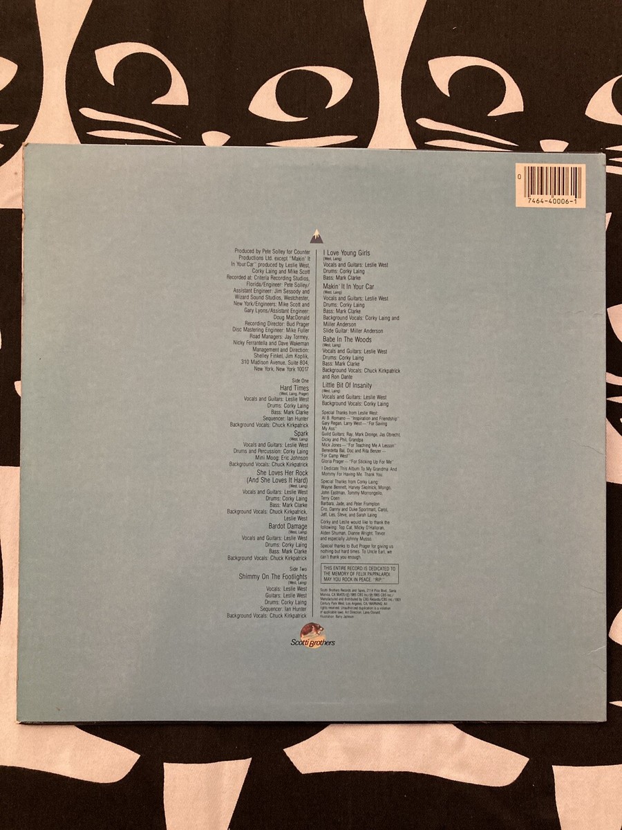 Mountain/ マウンテン/ Go For Your Life/ 1985年 Mountain – Go For Your Life – Vinyl (LP, Album), 1985