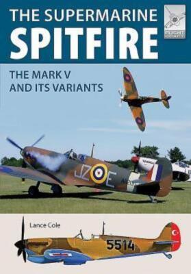 Flight Craft - Avro Scackleton  *NEW* + FREE P&P
