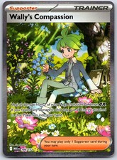 Wally's Compassion Holo Special Illustration Rare ME01: Mega Evolution 186/132 N on eBay