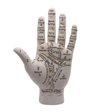 Palmistry Hand Palm 9.5" Resin Figurine Reading Model Fortune Telling Sculpture