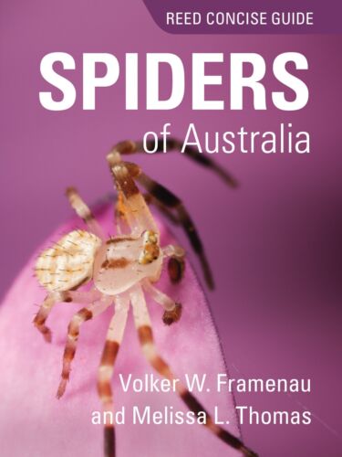 Reed Concise Guide: Spiders of Australia by Volker W. Framenau & Melissa Thomas - Foto 1 di 6