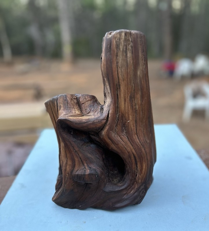 Manzanita Modern Abstract Wooden Sculpture Burl wood Art