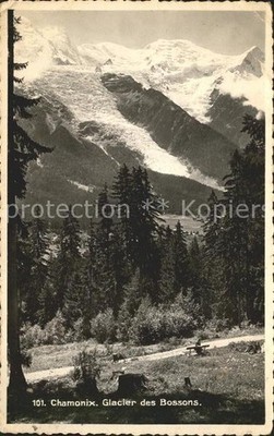 Chamonix Glacier des Bossons Gletscher