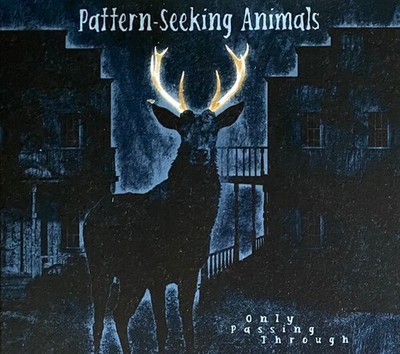 Pattern-Seeking Anim - Only Passing Through (Limited Edition) [New CD] Ltd Ed,