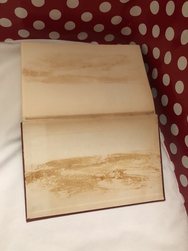 Rare Vintage Hardcover Book The Astors by Harvey O'Connor 1941 1st Ed w/ Photos - Picture 12 of 12