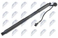 NTY Gasfeder, Koffer-/Laderaum AE-VV-001 FüR Volvo