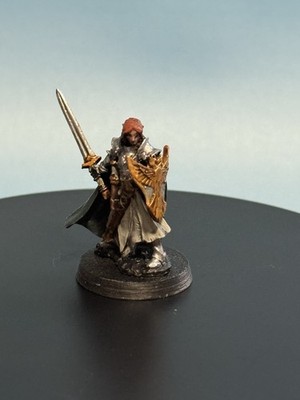 Painted miniatures male elf  fighter warrior paladin rpg d&d pathfinder