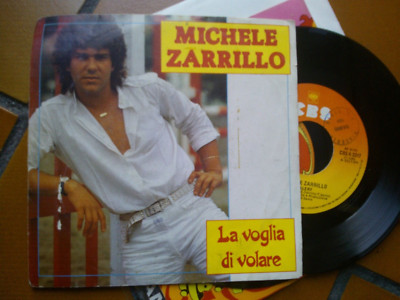 7' MICHELE ZARRILLO LA VOGLIA DI VOLARE VALERY COVER VG+ VINILE EX+
