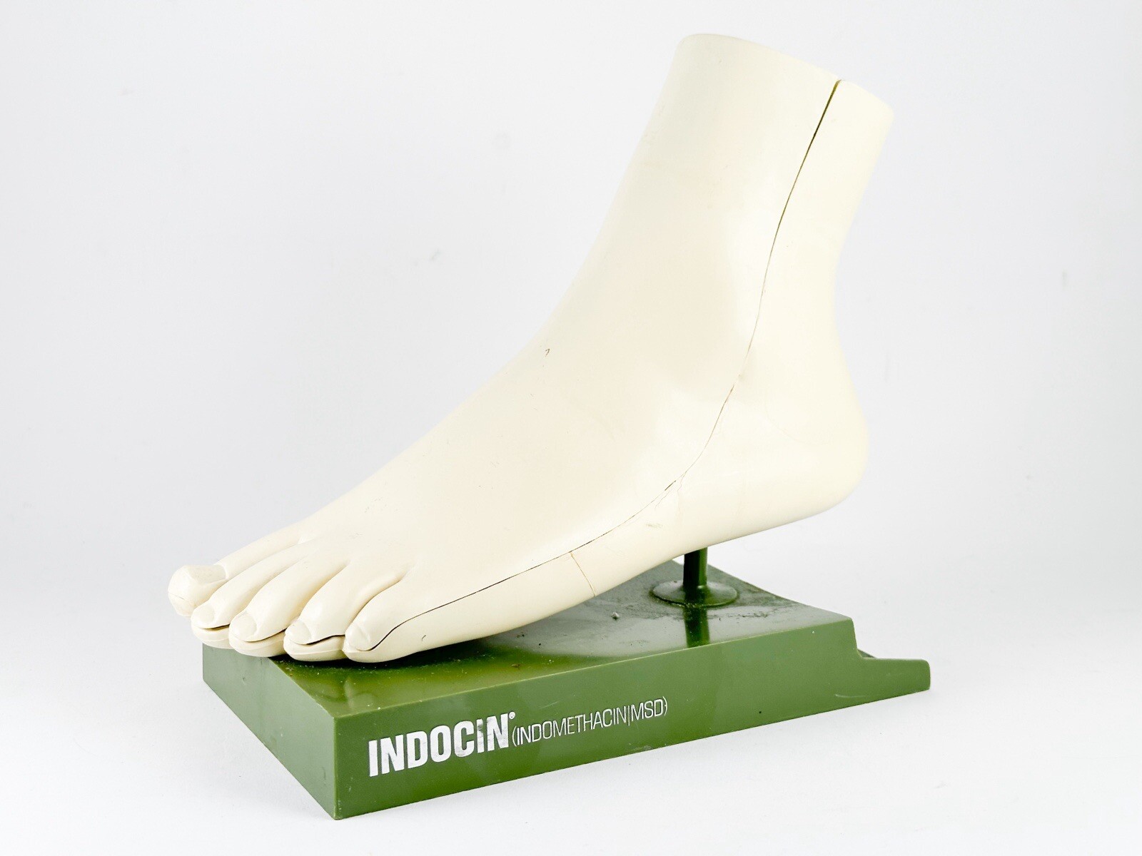 Merck Sharpe & Dome Anatomic Foot Model