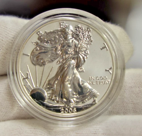 2006 P US Reverse Proof Silver Eagle $1 Original Capsuale