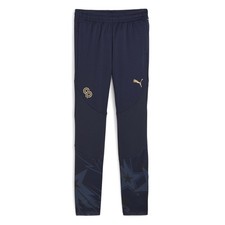 PUMA Cp Training Pants Youth Boys Blue Casual Athletic Bottoms 65896212