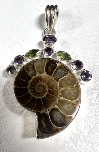 Pendentif Artisanal Argent Sterling - Ammonite, Jaspe Grain De Café Et Grenat - Naturel