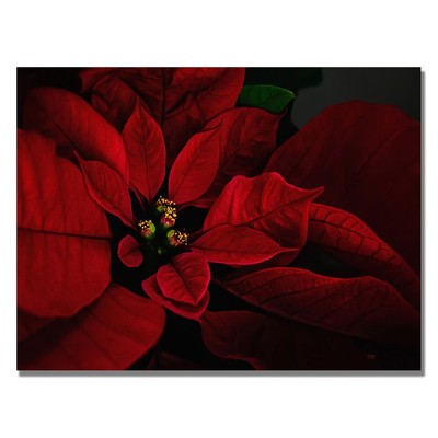 Trademark Art Poinsettia Framed Canvas Art by Lois Bryan, 22 by 32-Inch
