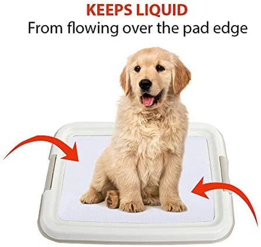 Dog Training Pad Holder Tray, Indoor Puppy Potty Pee Pad Floor Tray, 24
