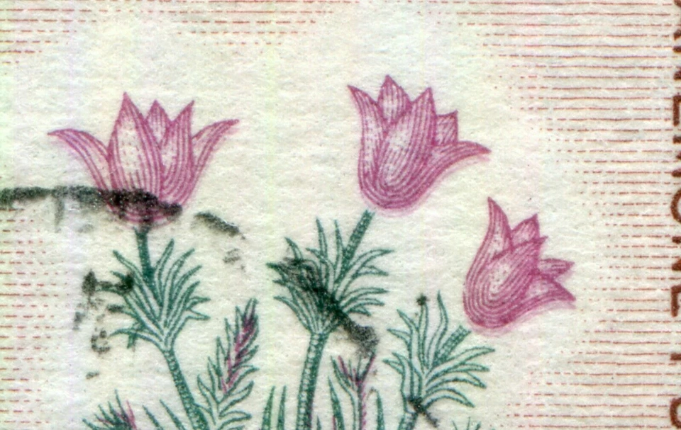 CANADÁ 422iv - Escudo de armas Manitoba "Doble impresión de flores moradas" (pb29344) Foto 2 de 2