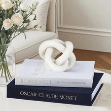 Aesthetic Decorative Books Set of 2 Coffee Table Books Box Linen Fake Books f...