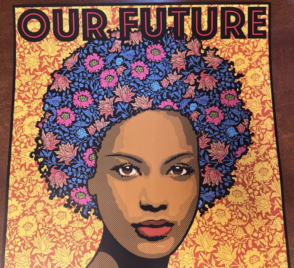 Póster Chuck Sperry Nuestro futuro nuestra democracia 2025 impresión artística ¡Lucha contra la autocracia ahora! Foto 4 de 4