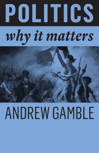Politics Why It Matters by Andrew  Gamble (Paperback Book)