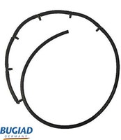 Bugiad Schlauch, Leckkraftstoff BFH18054 FüR BMW