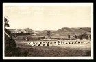 RPPC Postcard Turner Photo,Boy Scout Camp, Tents, Sidney, Montana, July 1924