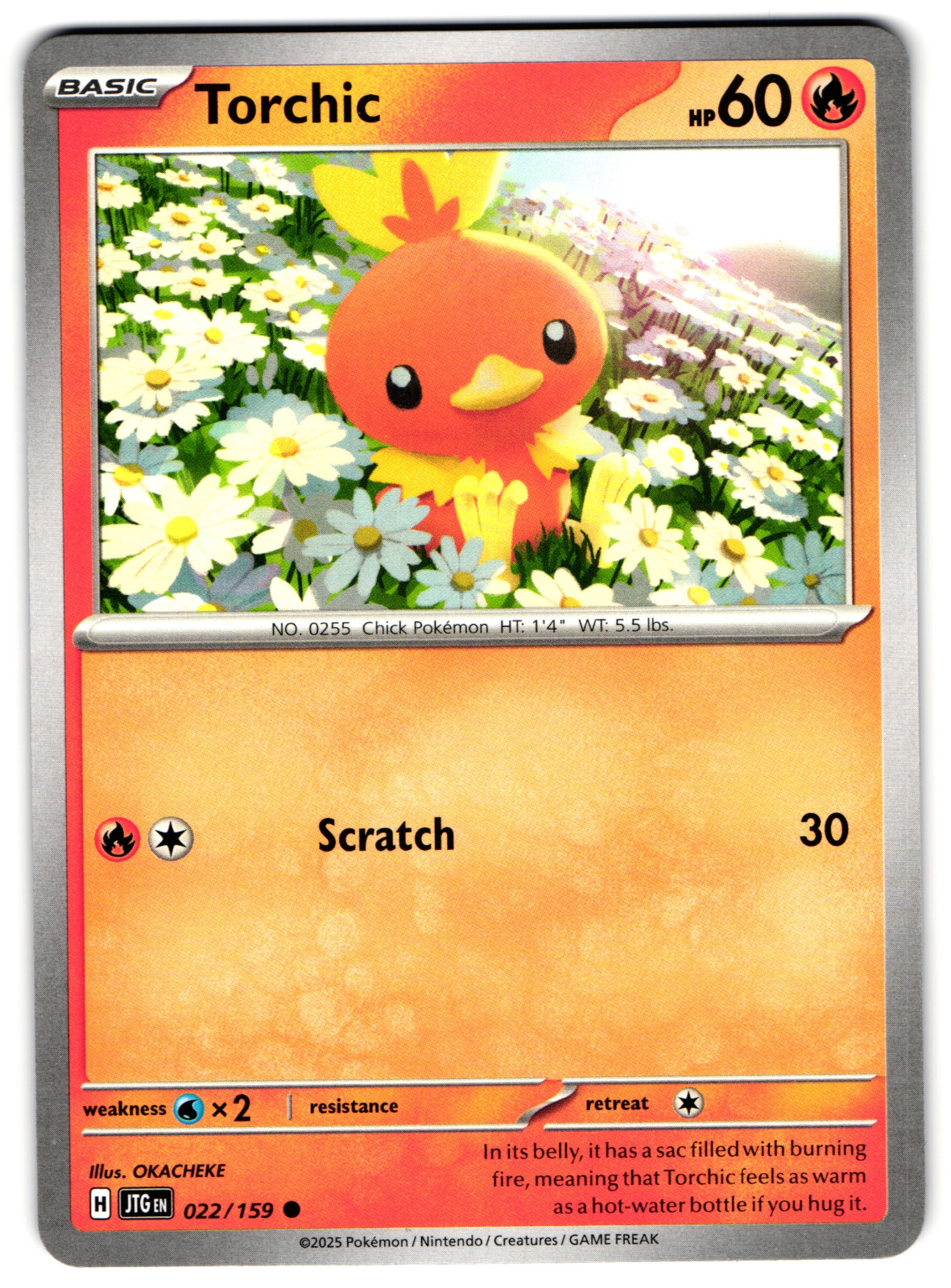 Torchic - 022/159 - 2025 Common Journey Together Pokemon Card NM