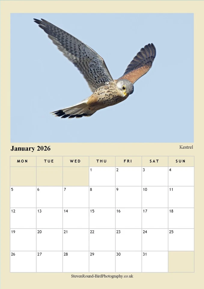British Birds of Prey 2026 A4 Wildlife Calendar (Photography by Steve Round) - Image 3 of 4