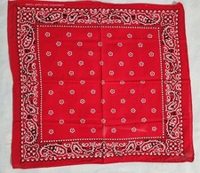 Vtg Bandana Guaranteed Fast Color Tuside Red Paisley Floral 16 x 16" READ