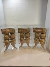 Gold Angel Wings Ornaments Winter Wonder Lane Lot Of 3  Shatterproof