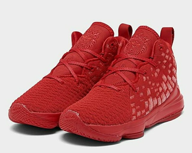 lebron 17 red carpet kids