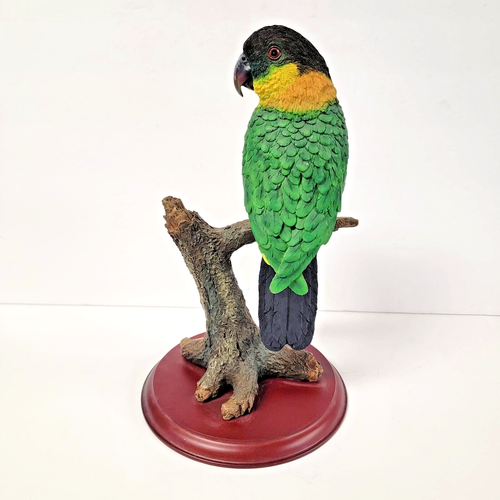 Black Capped Caique Parrot Bird Figurine on Branch Wood Base Life Size