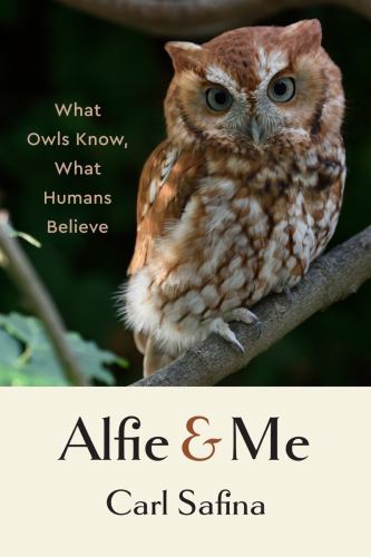 Alfie and Me : What Owls Know, What Humans Believe by Carl Safina (2023, ...