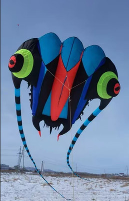 3D 7Sqm 1 Line Stunt Parafoil Trilobites POWER Sport Kite outdoor toy AAA+