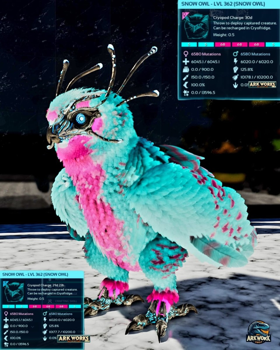 🦖ARK Survival Ascended Cotton Candy Top Stats PVE PS5/XBOX/PC | eBay