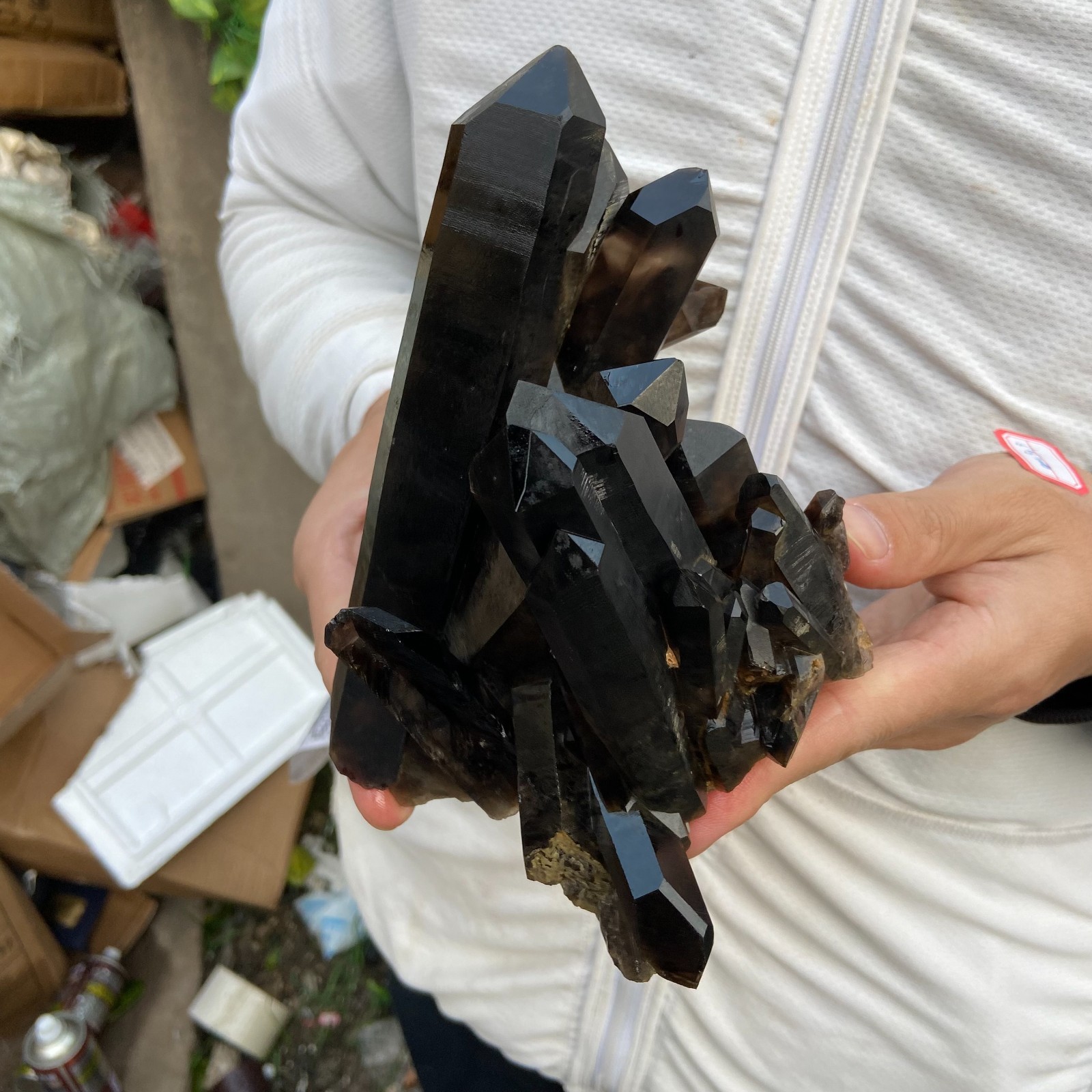 2.7lb Natural Black Smoky Quartz Crystal Cluster Specimen healing