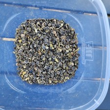 Nigra Hollyhock Seeds Large Black  Deep Red Flowers Free Shipping