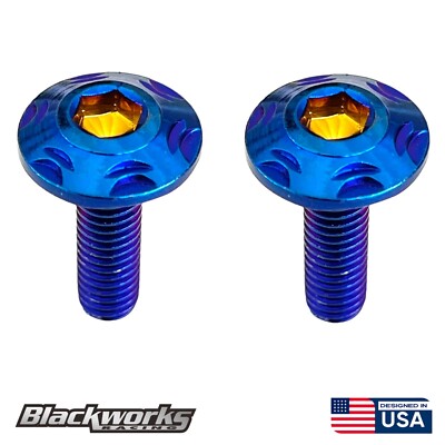 2 STAINLESS STEEL TITANIUM BURNT LICENSE PLATE SECURITY BOLTS HEX SCREWS M6X1.0