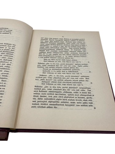 A Pali Reader Dines Andersen 2 volumes Hardcover - Picture 4 of 9