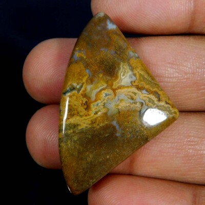 Natural Unique Palm Root Agate Fancy Cabochon Loose Gemstone 31.65Cts.
