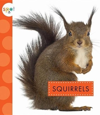 Squirrels by Wendy Strobel Dieker (English) Paperback Book