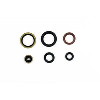 Serie Parolio Motor KTM SX 125/150 16-25 Husqvarna TC FüR KTM 125 SX 16- 2T